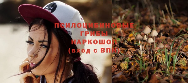 spice Кукмор