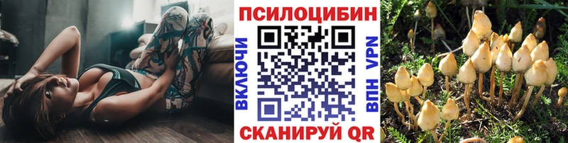 Псилоцибиновые грибы Psilocybe дарнет шоп Партизанск