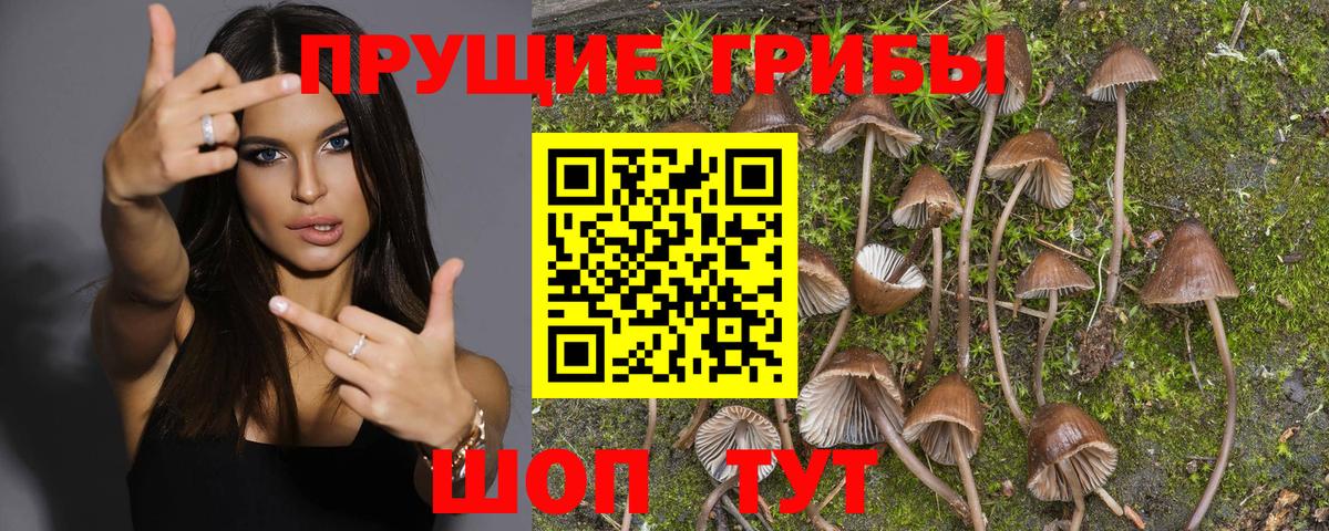 Галлюциногенные грибы MAGIC MUSHROOMS Партизанск