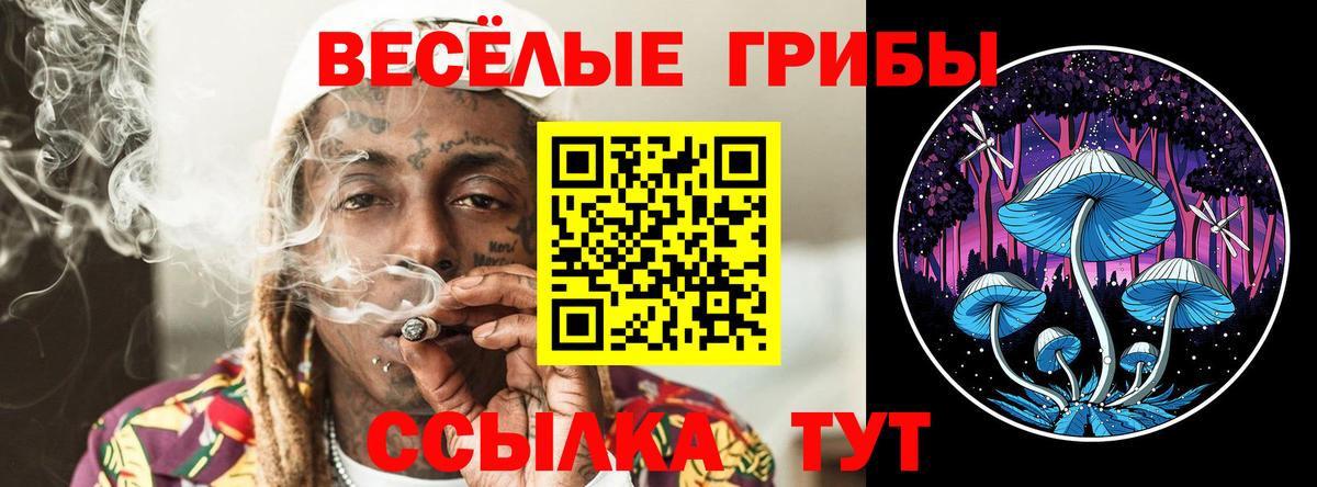 Галлюциногенные грибы GOLDEN TEACHER Партизанск