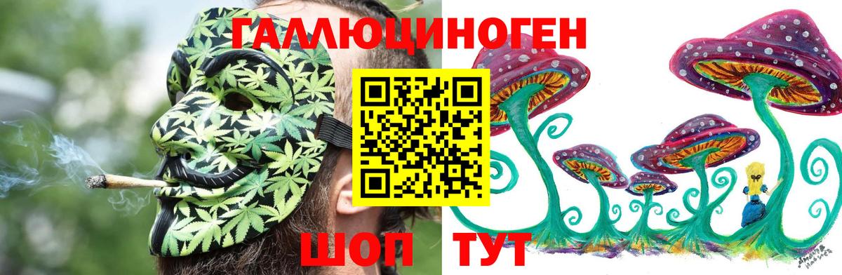 Галлюциногенные грибы мицелий  Партизанск  Галлюциногенные грибы MAGIC MUSHROOMS 